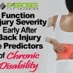 Function, Injury Severity Early After Back Injury are Predictors of Chronic Disability