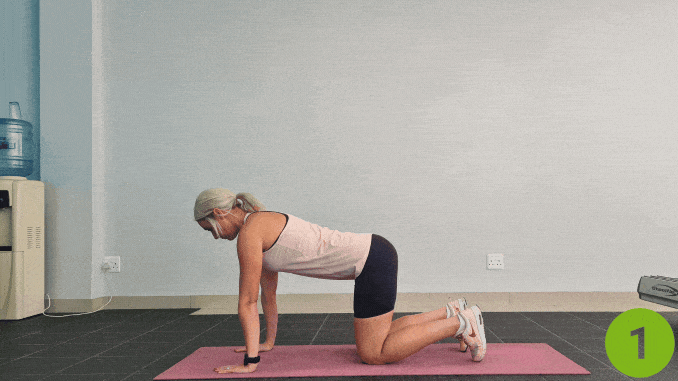 Bird Dog- safe exercises for herniated disc