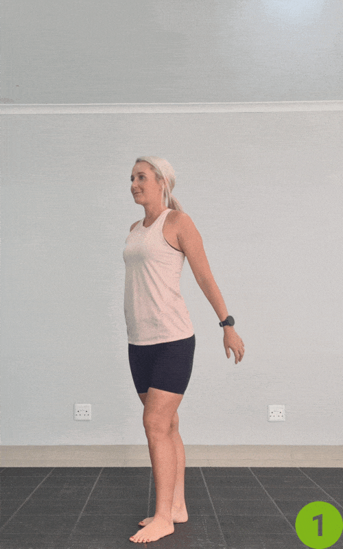 Arm Raises