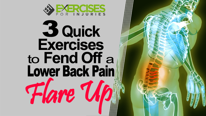 3 Quick Exercises to Fend Off A Lower Back Pain Flare Up copy