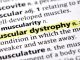 Effective Muscular Dystrophy Exercises to Improve Strength, Flexibility & Daily Function- muscular dystrophy exercises