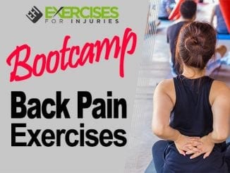 Bootcamp Back Pain Exercises