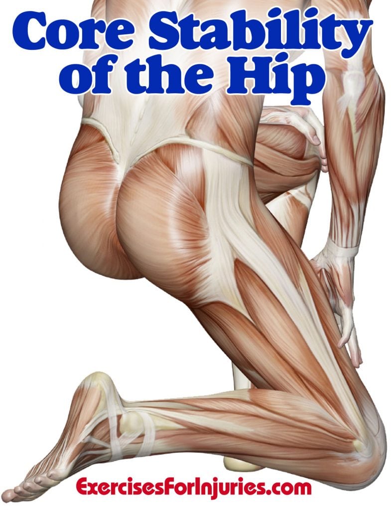 Core Stability of the Hip Hip Injury Exercises Exercises For Injuries