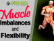 Muscle Imbalances and Flexibility