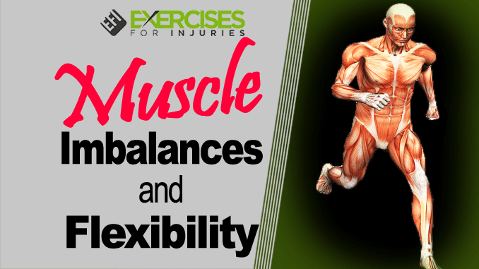 Muscle Imbalances and Flexibility