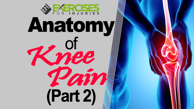 Anatomy of Knee Pain (Part 2) copy
