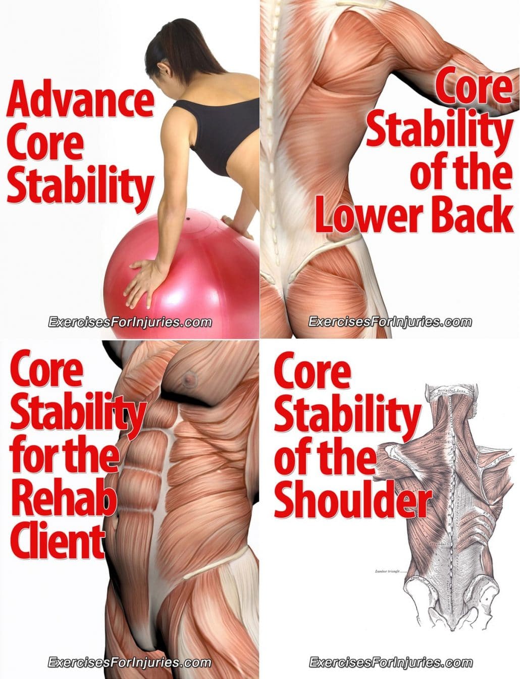 Core-Stability-Courses