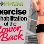 Exercise Rehabilitation of the Lower Back