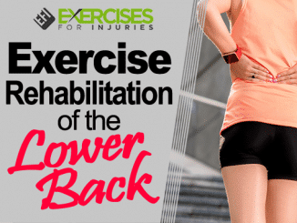 Exercise Rehabilitation of the Lower Back