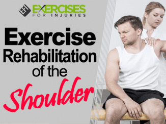 Exercise Rehabilitation of the Shoulder