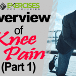 Overview of Knee Pain (Part 1)