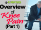 Overview of Knee Pain (Part 1) copy