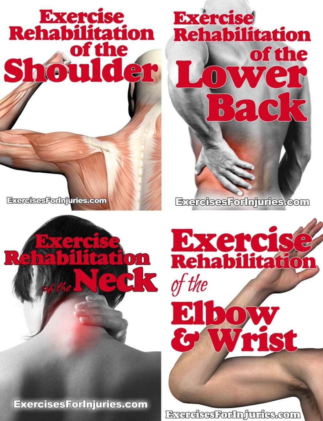Exercise Rehabilitation of the Upper Body