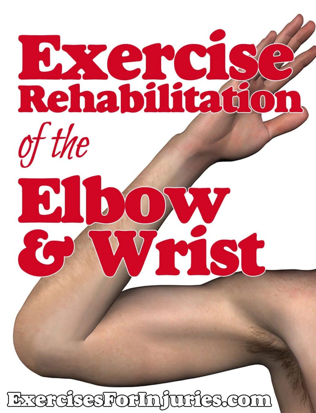 Exercise Rehabilitation of the Elbow and Wrist