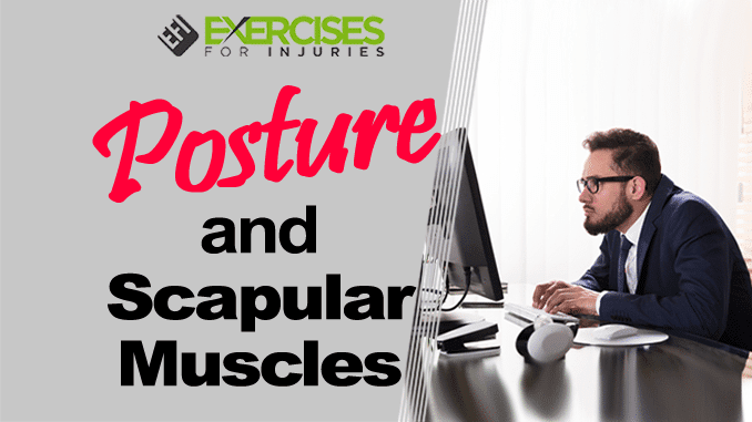 Posture and Scapular Muscles