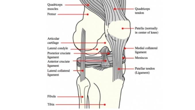 medial-and-lateral