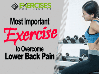 Most Important Exercise to Overcome Lower Back Pain