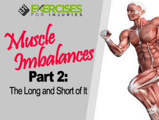 Muscle Imbalances Part 2 The Long and Short of It