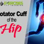 Rotator Cuff of the Hip