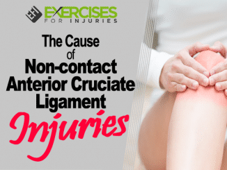 The Cause of Noncontact Anterior Cruciate Ligament Injuries copy