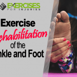 Exercise Rehabilitation of the Ankle and Foot