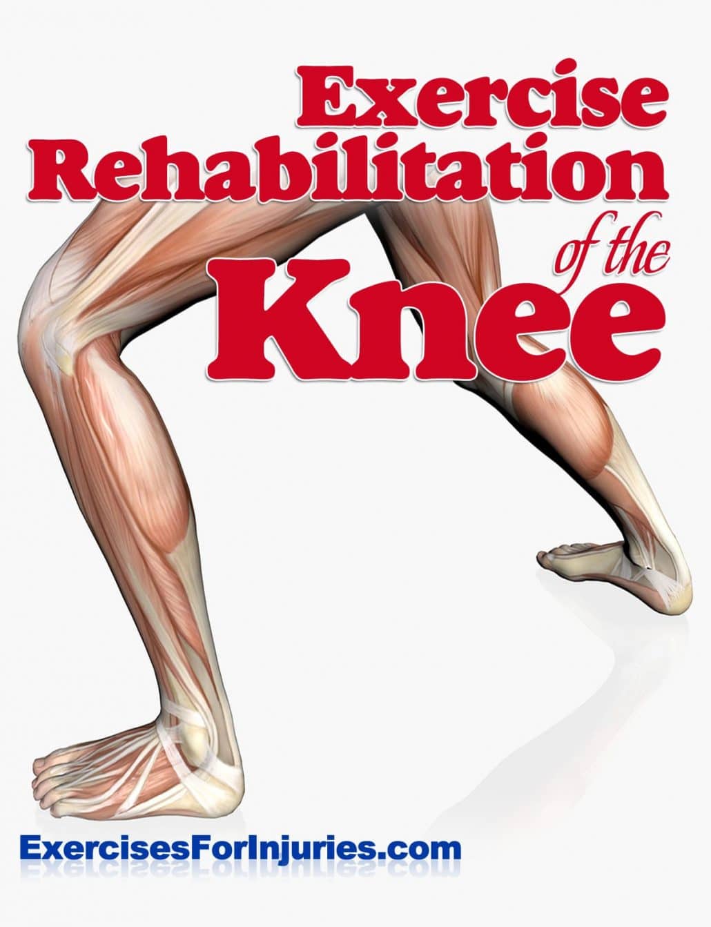 Exercise-Rehabilitation-of-the-Knee