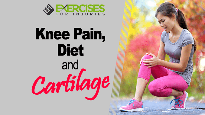 Knee Pain, Diet and Cartilage