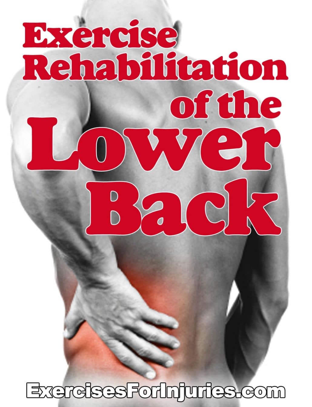 Exercise Rehabilitation of the Lower Back BCRPA CEC Course