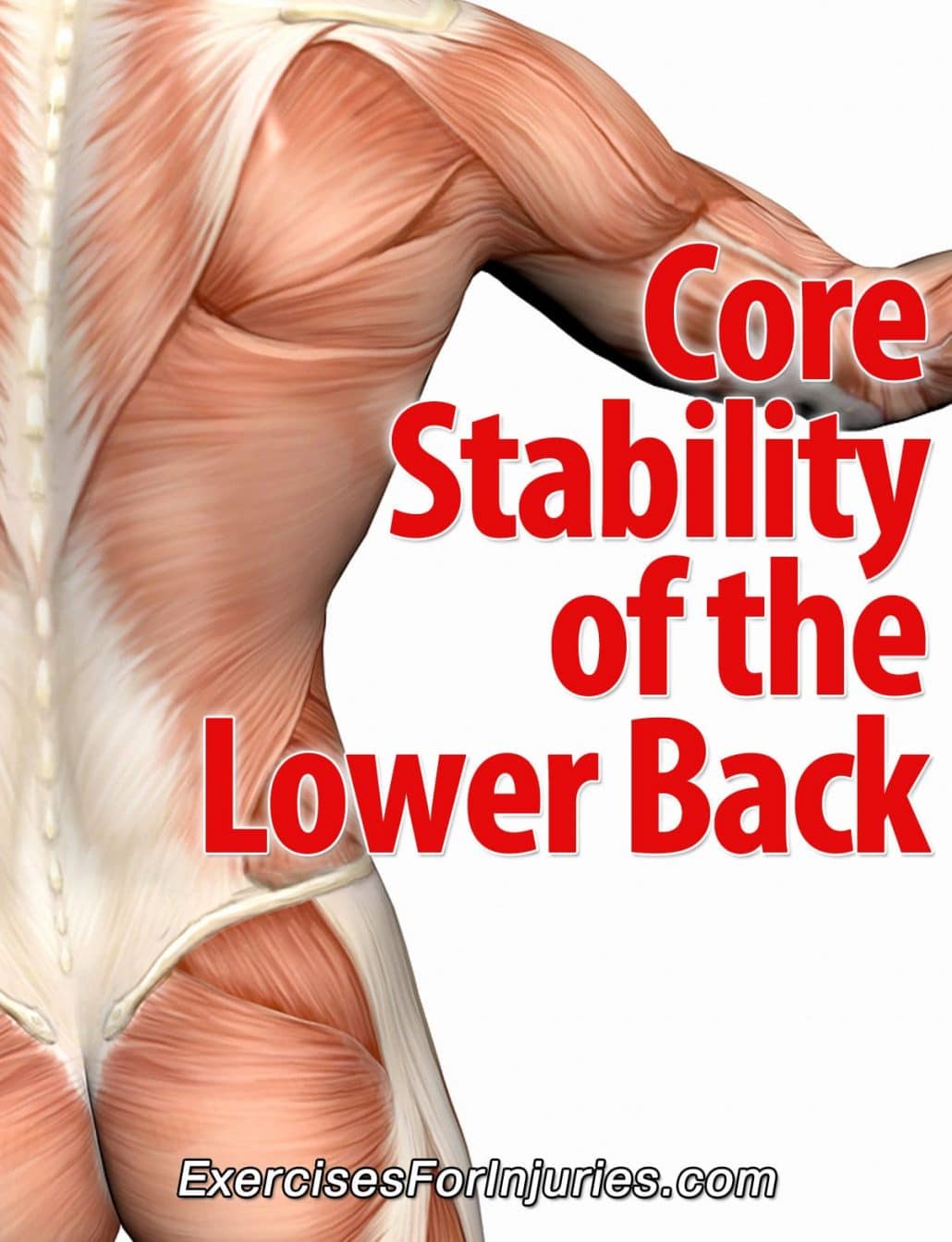Core Stability of the Lower Back