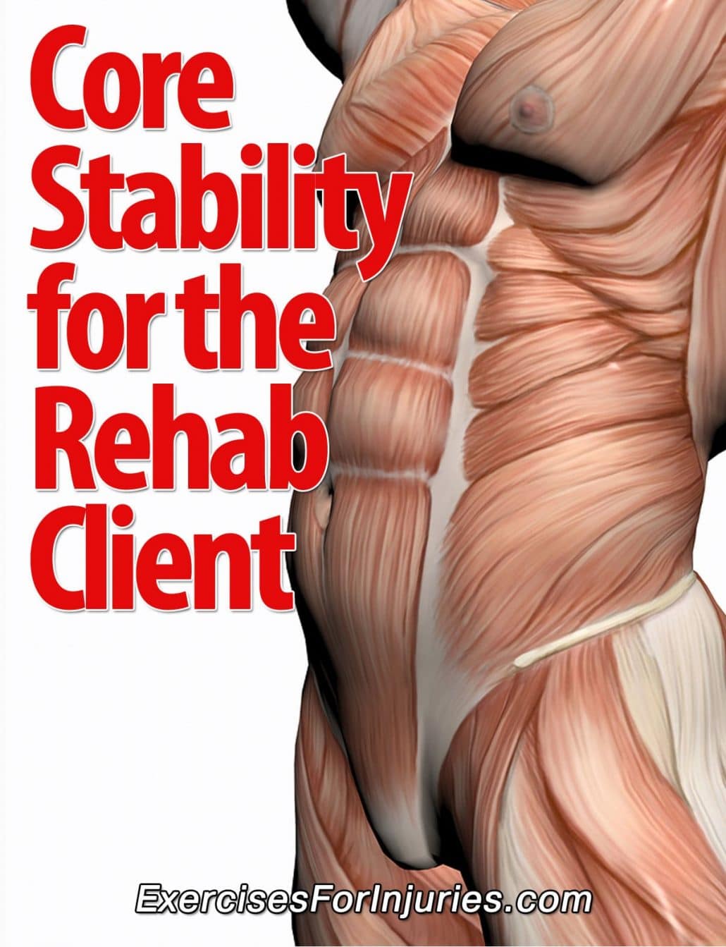 Core Stability of the Rehab Client