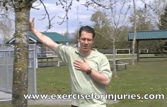 shoulder-pain-exercises-1