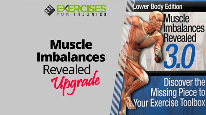 Muscle Imbalances Revealed Upgrade