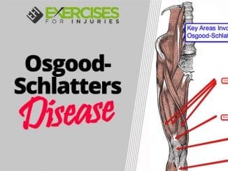 Osgood-Schlatters Disease.1