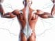 How to Fix Muscle Imbalances: A Complete Guide- How to Fix Muscle Imbalances