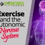Exercise and the Autonomic Nervous System