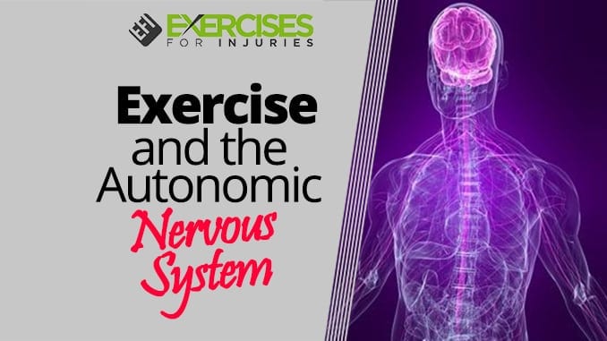 Exercise and the Autonomic Nervous System