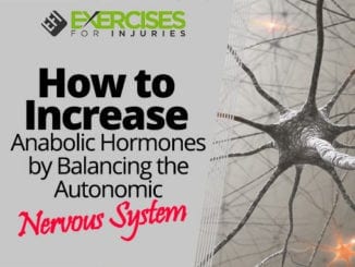 How to Increase Anabolic Hormones by Balancing the Autonomic Nervous System