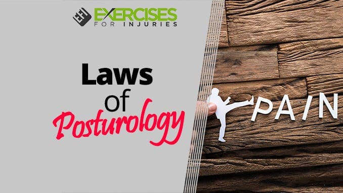Laws of Posturology