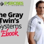 The Gray Twin’s Systems Ebook