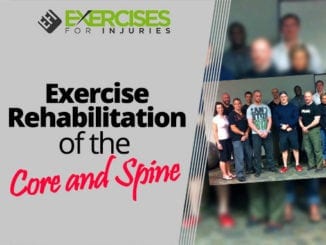 Exercise Rehabilitation of the Core and Spine
