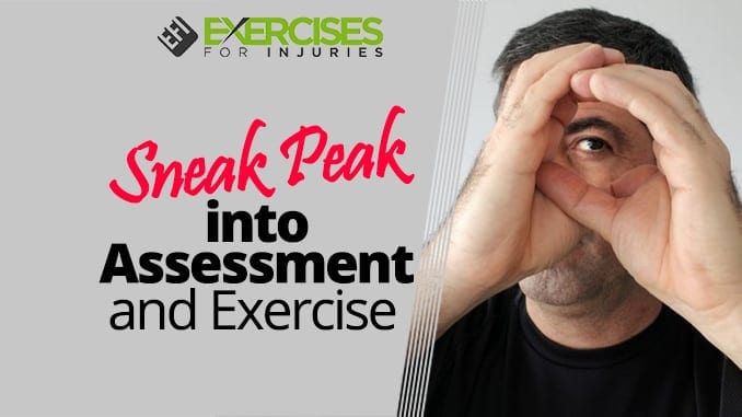 Sneak Peak into Assessment and Exercise
