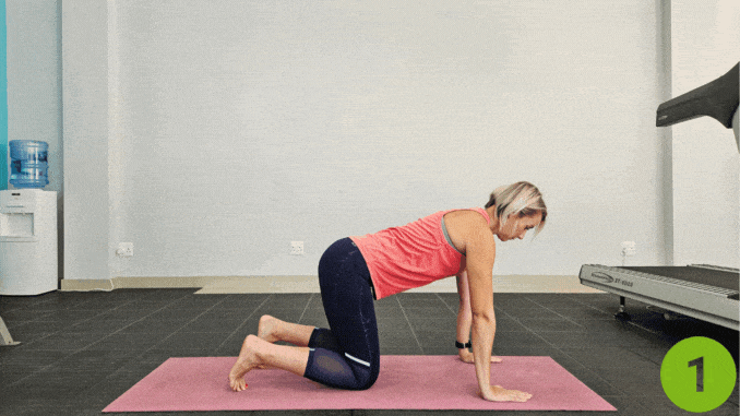 Bird Dog- strength training for runners

