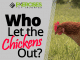 Who Let the Chickens Out