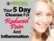Your 5 Day Cleanse for Reduced Pain and Inflammation