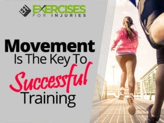 Movement Is The Key To Successful Training