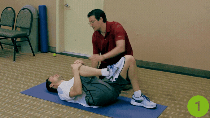 Single Knee to Chest - Cat and Dog Stretch