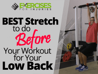 BEST Stretch to do Before Your Workout for Your Low Back