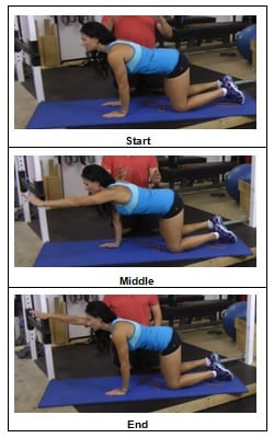 Four Plank Position with Progression