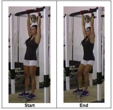 Vertical hanging exercise
