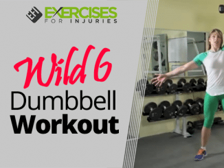 Wild 6 Dumbbell Workout